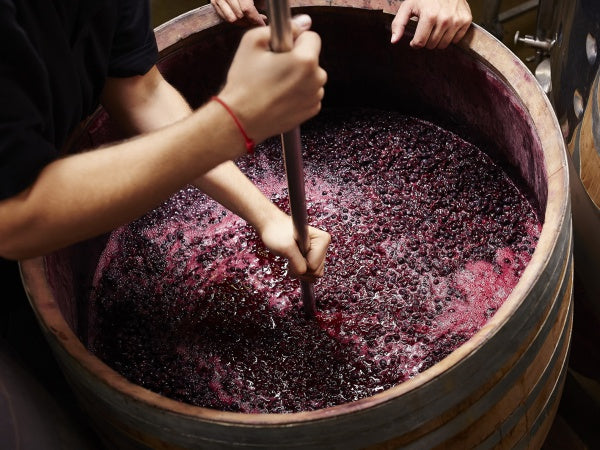 舊派與新派Barolo的3大不同